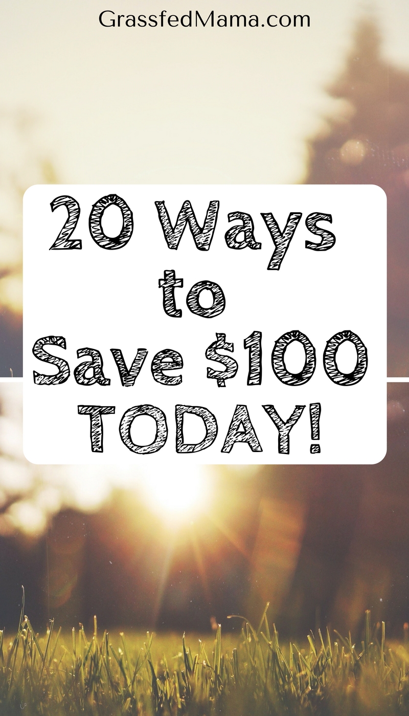 20 Proven Ways to Save $100 TODAY! - Grassfed Mama